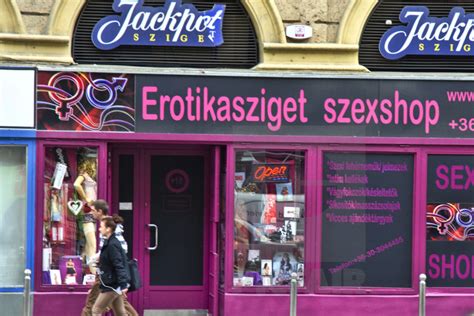 laufhaus budapest|Budapest Sex Guide [2024]